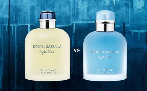 d&g light blue vs intense.